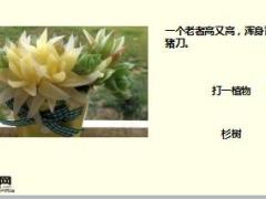 每日快乐早会18年2月15日使用15页.ppt