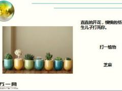 每日快乐早会18年2月19日使用15页.ppt