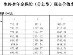 幸福鑫悦一生终身年金保险分红型条款费率表现金价值投保保全规则说明书.rar
