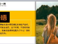 每日保险故事一箱石头8页.ppt