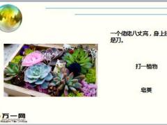 每日快乐早会18年2月21日使用15页.ppt