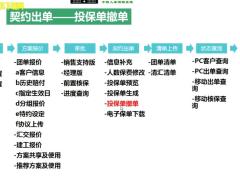 视频国寿团销系统契约出单投保单撤单.rar