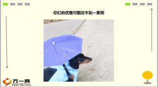 每日快乐早会18年2月22日使用15页.ppt