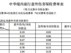 中华境内旅行意外伤害保险条款费率表.rar