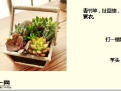 每日快乐早会18年2月26日使用15页.ppt