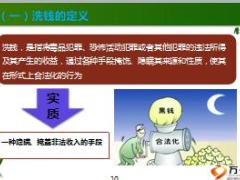 反洗钱知识法律制度义务审计要求重点63页.ppt