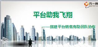 团险搭建平台销售有助团队协作含备注14页.ppt