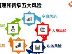 法律视角下的财富保护与传承29页.ppt