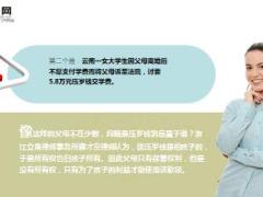 妈妈挪用孩子3万5压岁钱买名牌包包20页.ppt