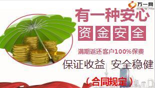 太平财富稳盈年金保险利益介绍案例解析25页.ppt