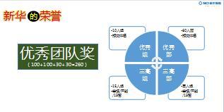 新华保险荣誉体系团队篇杰出主管优秀团队16页.ppt