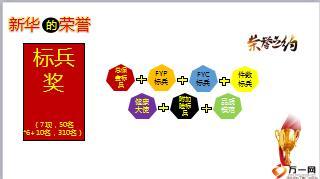 新华保险荣誉体系个人篇年度标兵新秀园丁奖24页.ppt