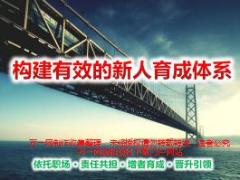 构建有效的新人育成体系59页.ppt