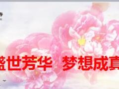 盛世芳华梦想成真创业说明会主讲专题国寿版59页.ppt