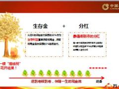 国寿鑫耀一生产品亮点解析产品职场训练10页.ppt