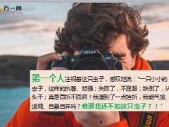每日正能量虫子傻还是不傻8页.ppt