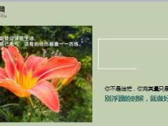 每日鸡汤所有想要的都得靠自己的努力才能得到.rar