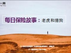 每日保险故事老虎和猎狗5页.ppt