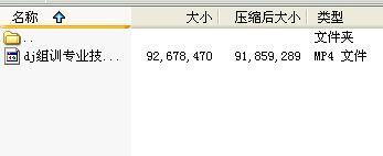 组训专业技能二培训10全预算管理视频.rar