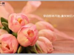 春天花朵早会模板10页.ppt