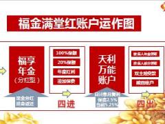 新华福金满堂红实战销售技巧培训课件38页.ppt