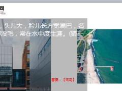 每日快乐早会18年3月13日使用12页.ppt