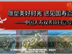 雕塑美好时光遇见国寿嘉园双养项目宣导片112页.ppt