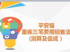 重疾三笔费用销售法测算促成9页.ppt