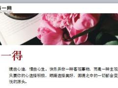 每日保险故事星星与泥巴8页.ppt