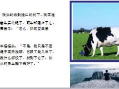 每日保险故事不愿舍弃的牛绳7页.ppt