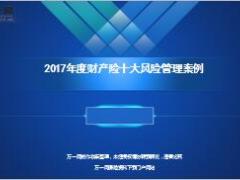 2017年度财产险十大风险管理案例23页.ppt