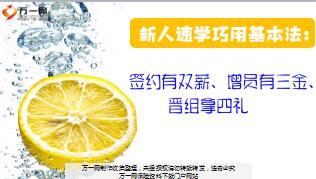 国寿基本法新人速学巧用基本法16页.ppt