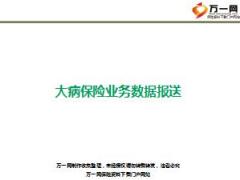 团险健康险培训课程10大病保险业务数据报送国寿版32页.ppt