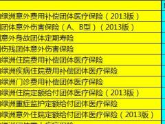 中国人寿团险系统绿洲系列险种短险速算表.xls