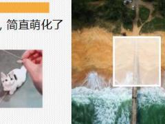 每日快乐早会18年3月19日使用12页.ppt
