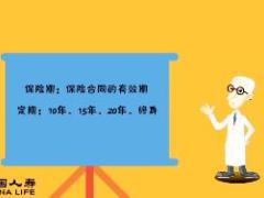 视频保险几个期不懂要被欺.rar
