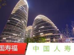 国寿福至尊版产品宣导案例专题19页.ppt