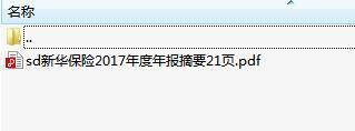 新华保险2017年度年报摘要21页.rar