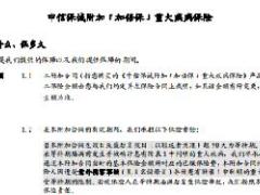 中信保诚附加加倍保重大疾病保险条款费率表.rar