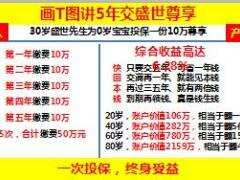 中国人寿盛世尊享保险产品话术篇11页.ppt