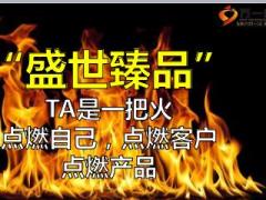 中国人寿盛世臻品产品形态介绍奖励方案40页.ppt