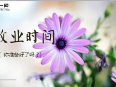 春天气息清爽早会流程精美10页.ppt