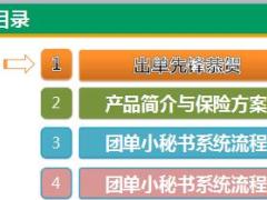 中国人寿短险团单小秘书系统流程22页.ppt