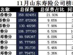 山东省2017年前11月寿险公司总保费排行榜.xls