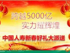 理财产说会中国人寿盛世尊享产说会讲解版57页.ppt