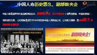 创业合伙人招募计划主讲流程片国寿王者荣耀版46页.ppt