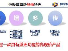 恒安标准人寿恒爱年年尊享版产品特色卖点解析62页.ppt