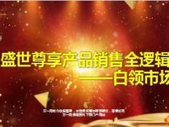 国寿盛世尊享产品销售全逻辑白领市场20页.ppt