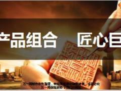 新华康健华贵A多倍保健康无忧C1及附加险组合理念篇产品篇64页.ppt