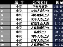 辽宁省2017年前12月寿险公司总保费排行榜.xls